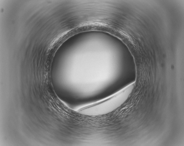 X0000059250872200510140843