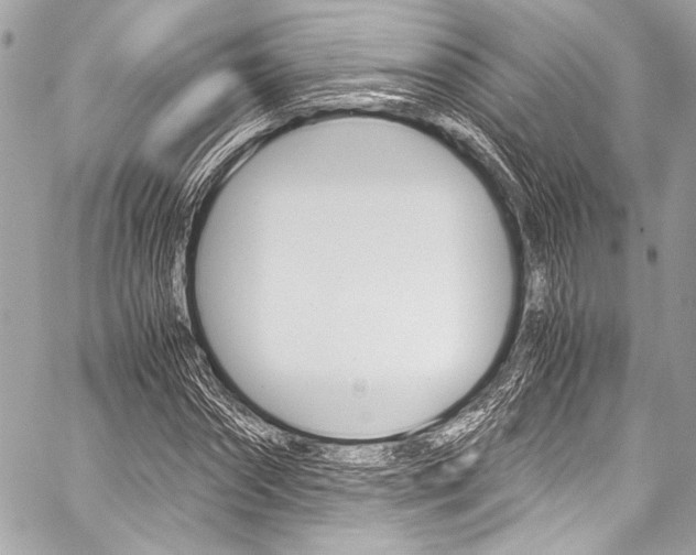 X0000059250874200510140843