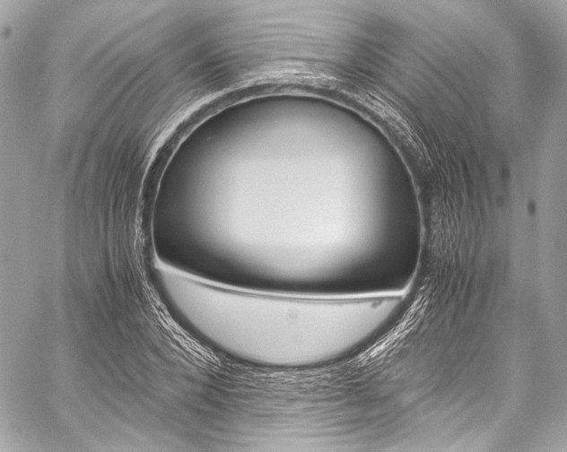 X0000059250880200510140843