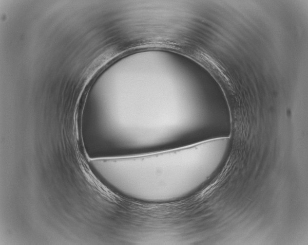 X0000059250892200510140842