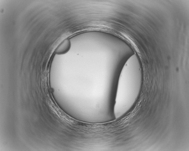 X0000059250899200510140842
