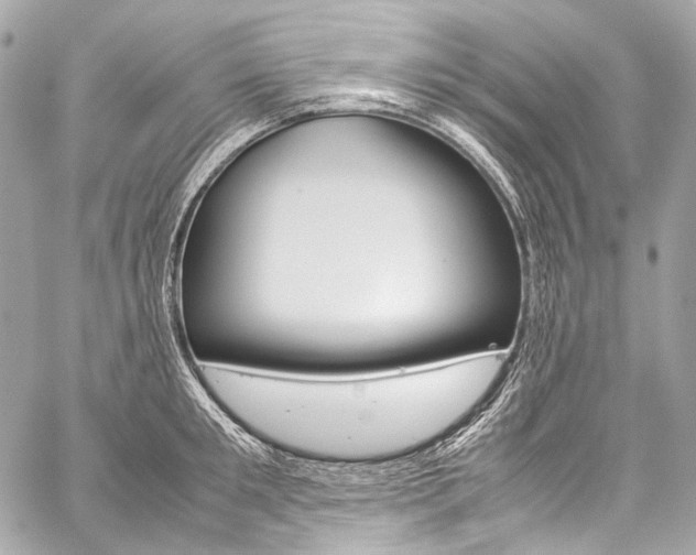 X0000059250901200510140842