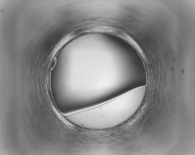X0000059250909200510140842