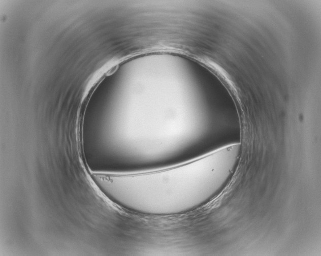 X0000059250910200510140842