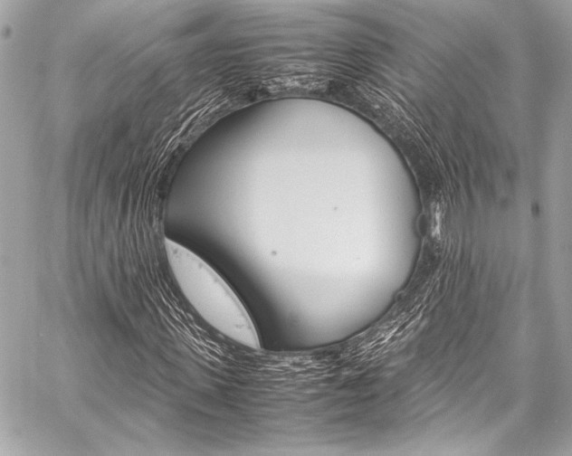 X0000059250915200510140841