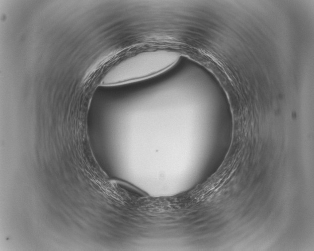 X0000059250919200510140841