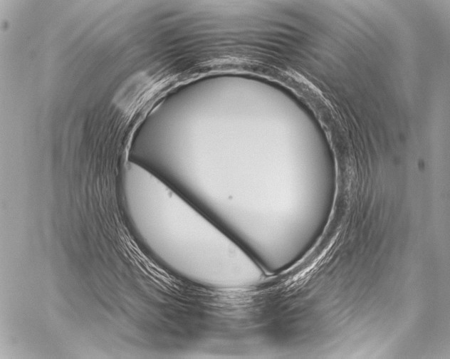 X0000059250921200510140842