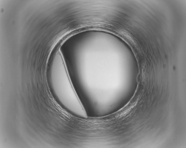X0000059250924200510140842