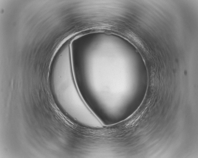 X0000059250932200510140842