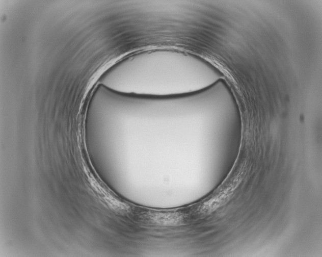 X0000059250941200510140842