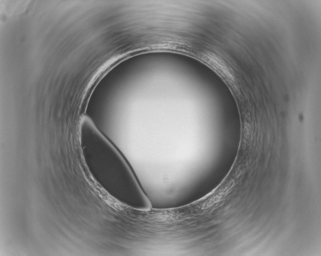 X0000059250948200510140842