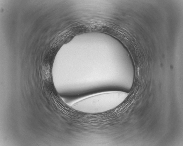 X0000059250963200510140841