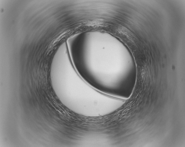 X0000059250968200510140841