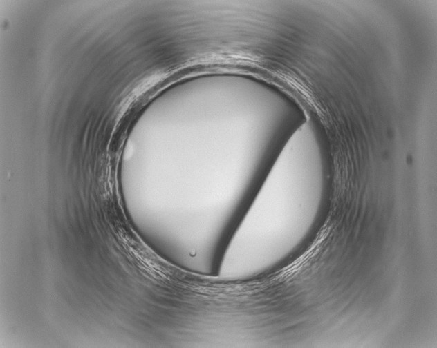X0000059250974200510140841