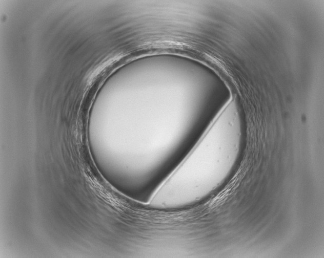 X0000059250979200510140841