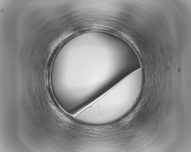 X0000059250987200510140841
