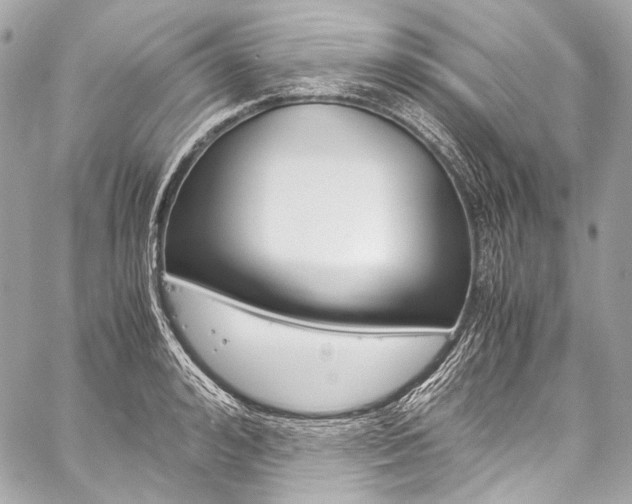 X0000059250992200510140841
