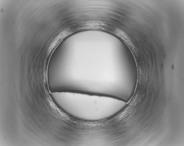 X0000059250994200510140841