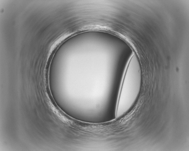X0000059250995200510140841