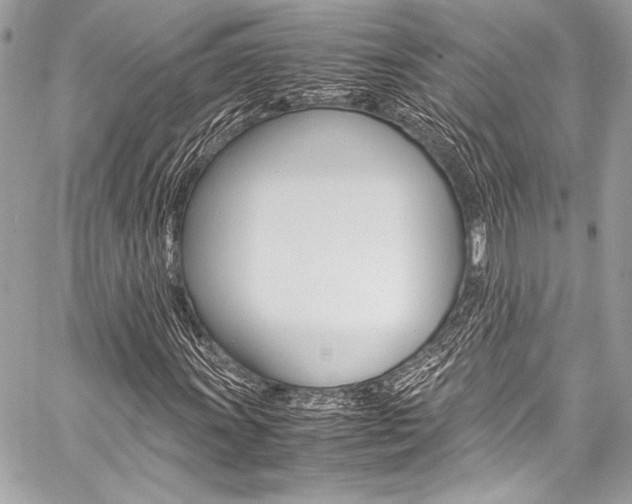 X0000059251011200510140840