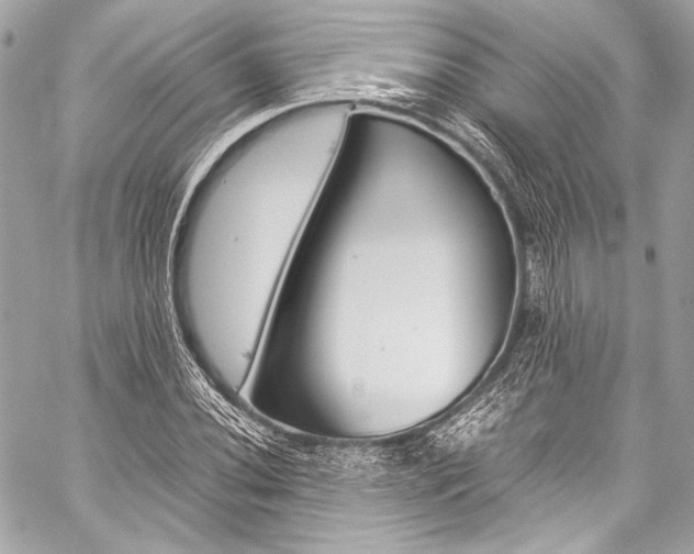 X0000059251020200510140840