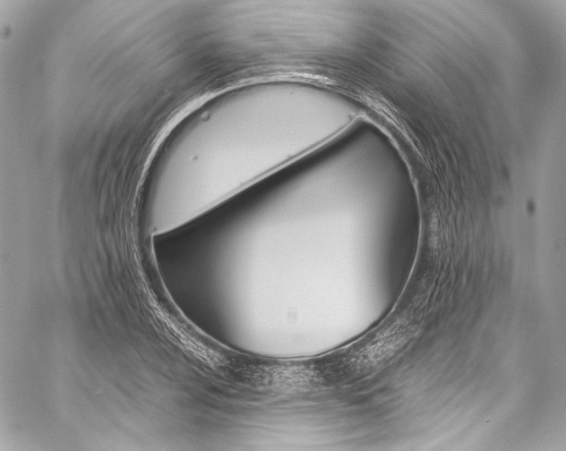 X0000059251024200510140840