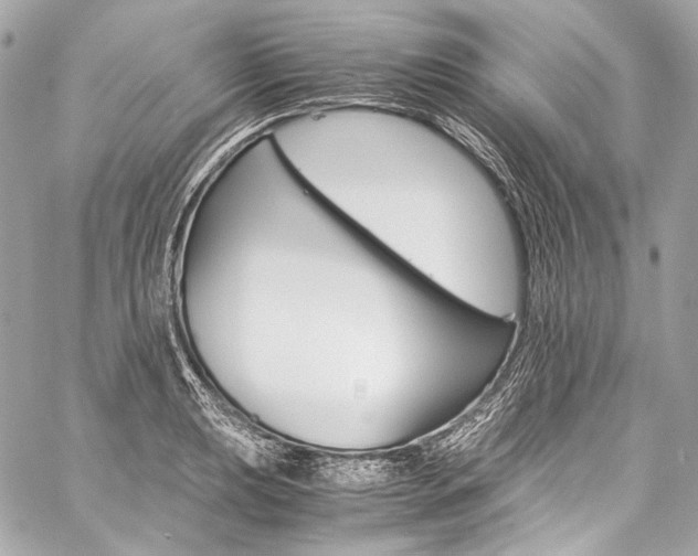 X0000059251039200510140840