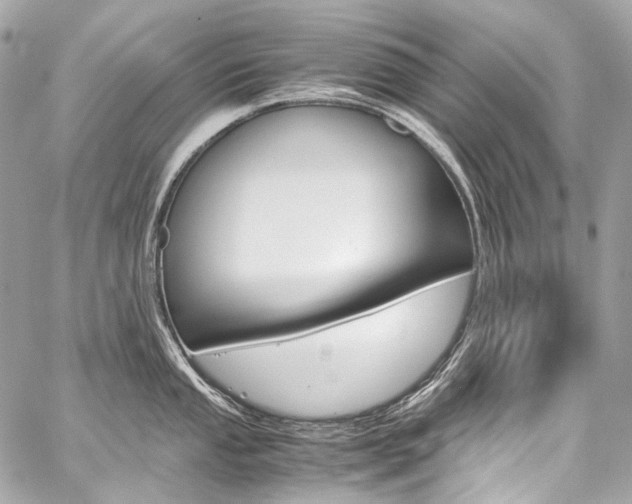 X0000059251053200510140841