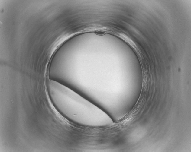 X0000059251055200510140841
