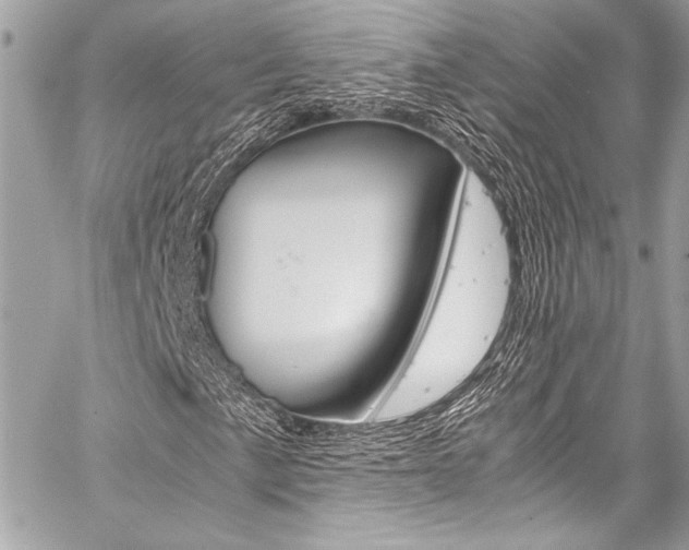 X0000059251057200510140840