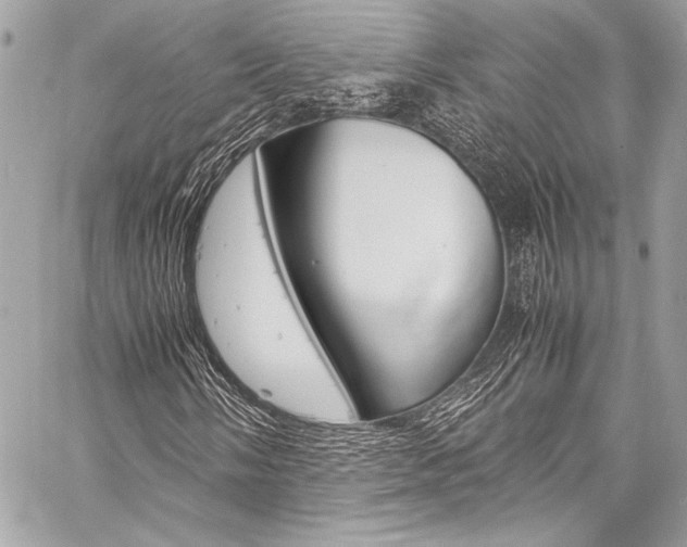 X0000059251058200510140840