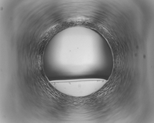 X0000059251062200510140840