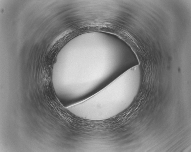 X0000059251064200510140840