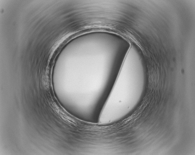 X0000059251068200510140840