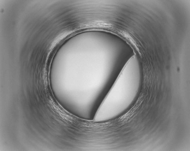 X0000059251072200510140840