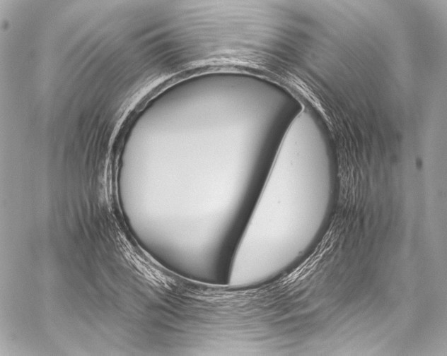 X0000059251076200510140839