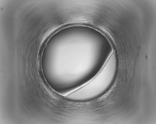 X0000059251077200510140839