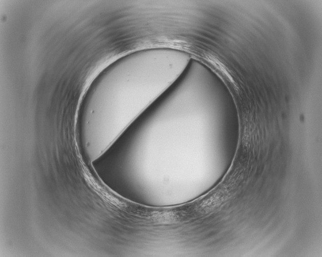 X0000059251080200510140839