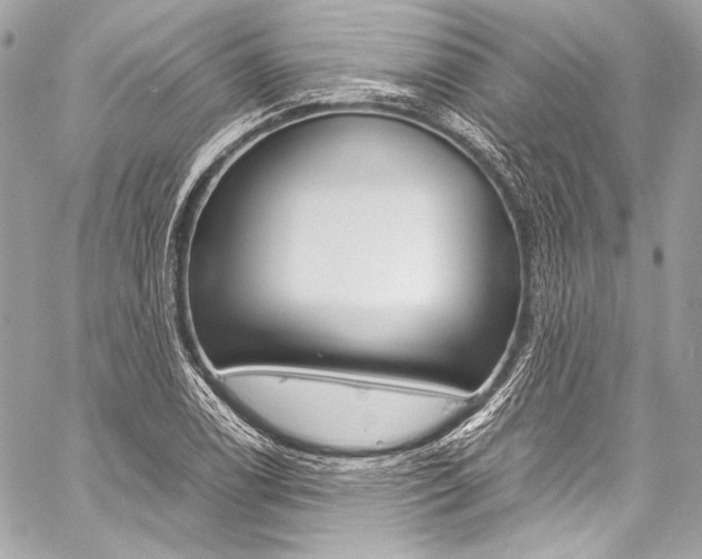 X0000059251122200510140839