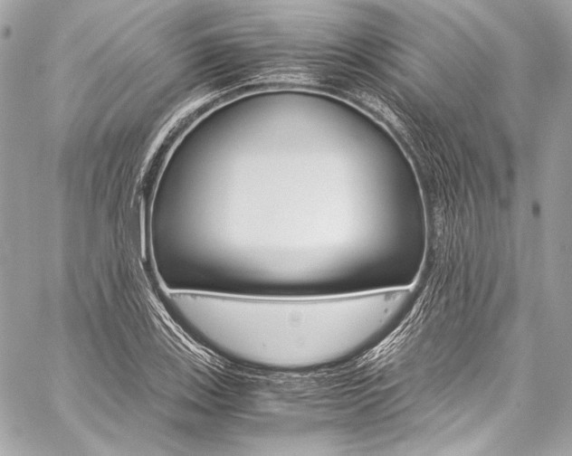 X0000059251123200510140839