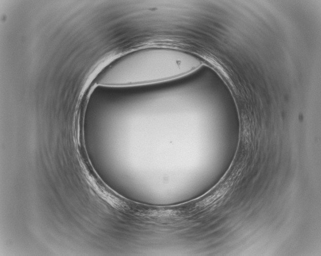 X0000059251131200510140839