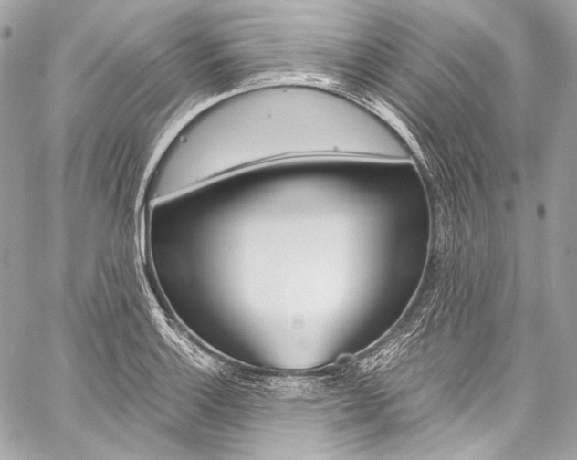 X0000059251132200510140839