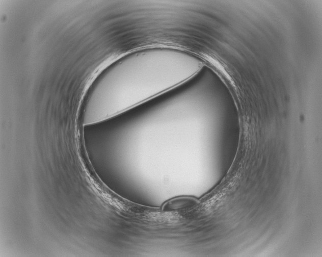 X0000059251133200510140839