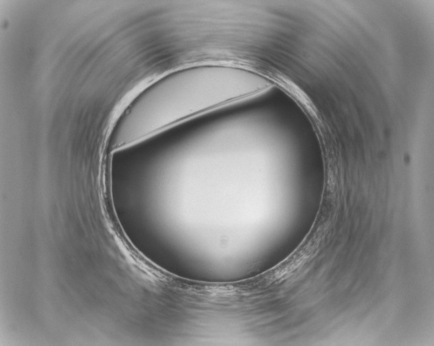 X0000059251144200510140839
