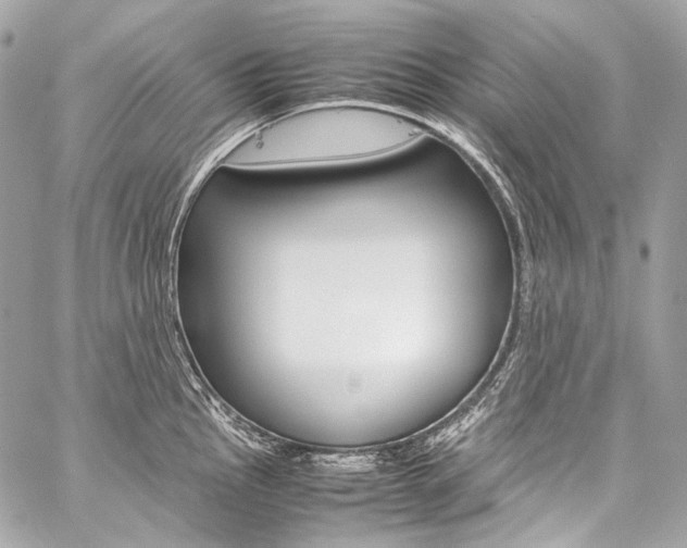 X0000059251145200510140839