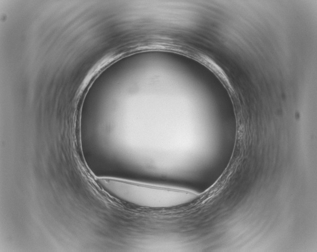 X0000059251146200510140839