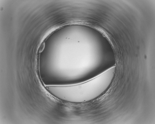 X0000059251147200510140839
