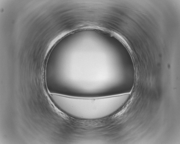 X0000059251149200510140839