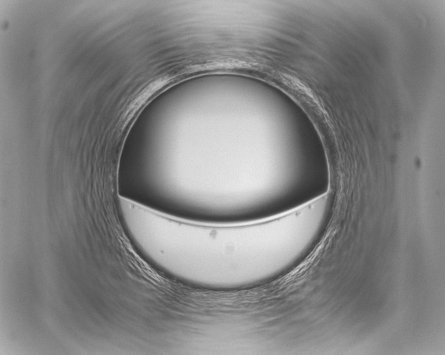 X0000059251177200510140838