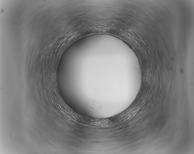 X0000059251201200510140837